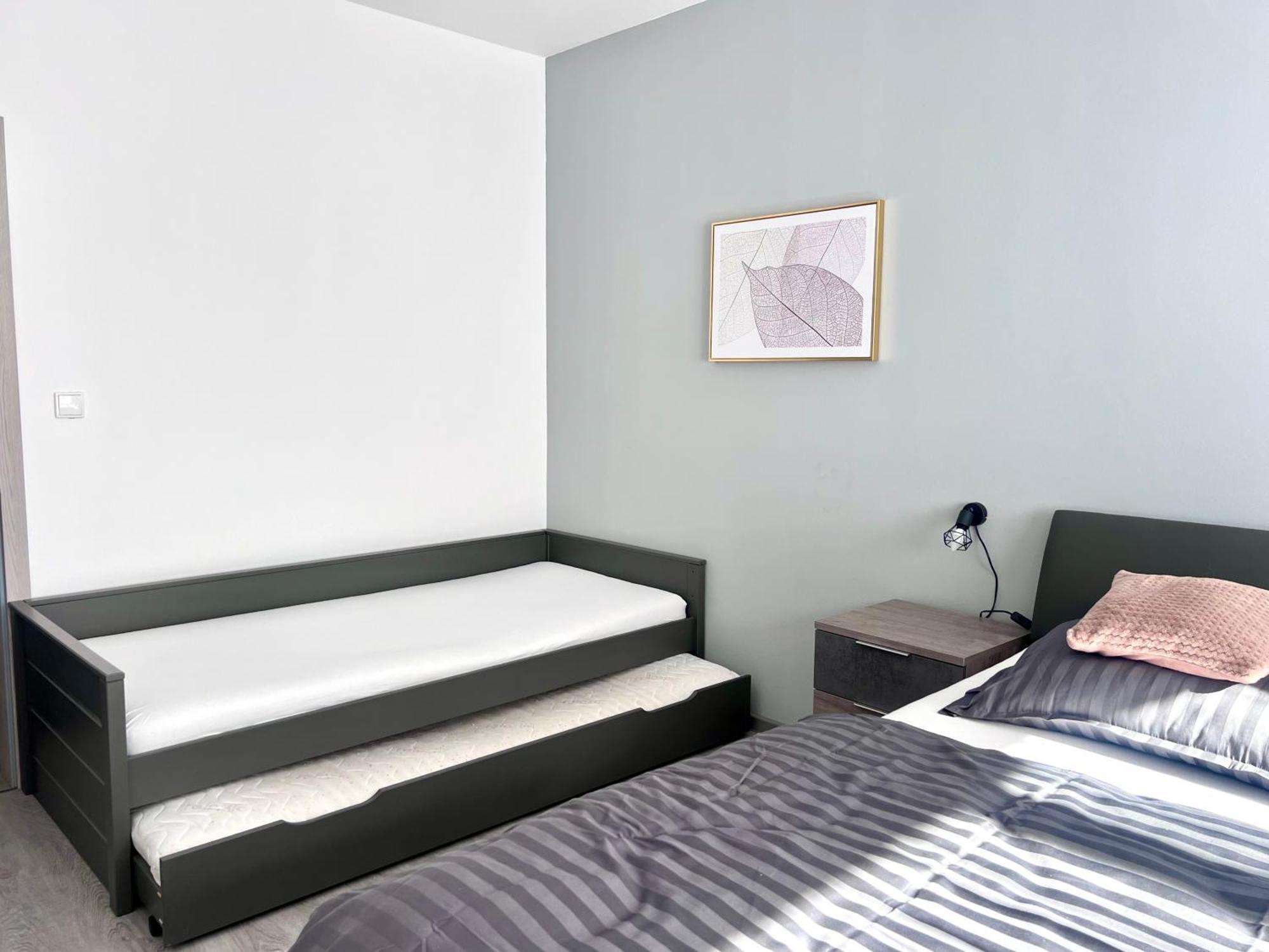Apartman Lakeside チェスキー クルムロフ エクステリア 写真